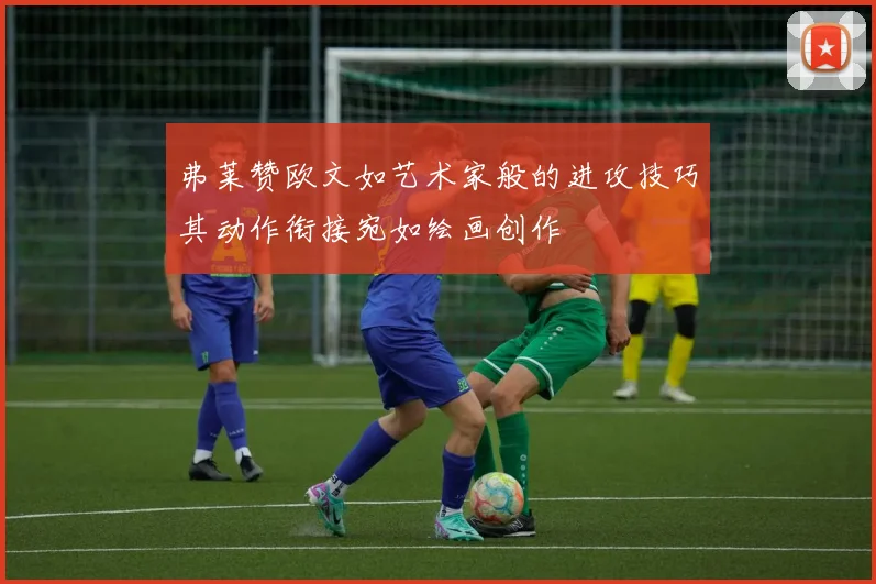 弗莱赞欧文如艺术家般的进攻技巧其动作衔接宛如绘画创作