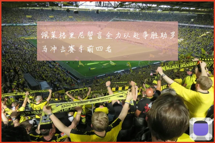 佩莱格里尼誓言全力以赴争胜助罗马冲击赛季前四名